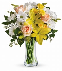 Daisies and Sunbeams from Schultz Florists, flower delivery in Chicago